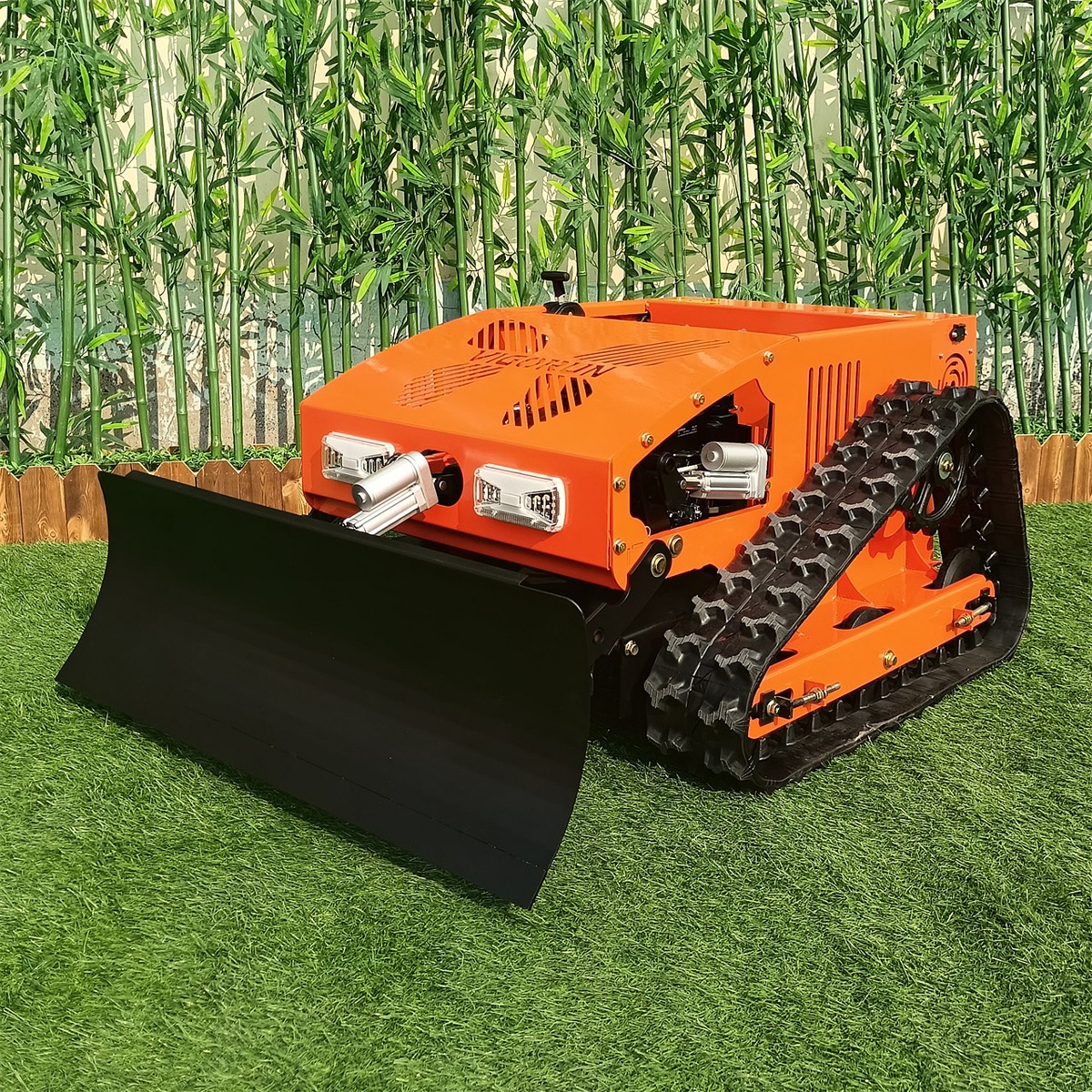alt-6817